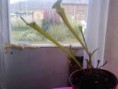 /album/fotogaleria/p1435-22-12-11-jpg/